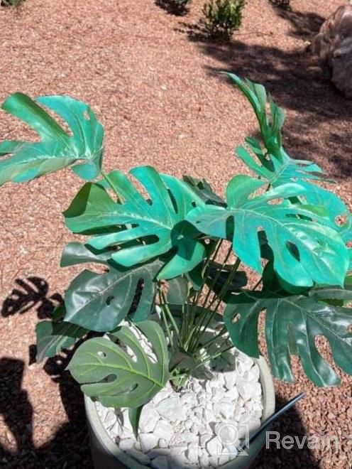 img 1 attached to Add A Tropical Touch With Our 20 LED Monstera Leaf String Lights - Perfect For Outdoor And Indoor Summer Decorations! review by Eufemia Ragi