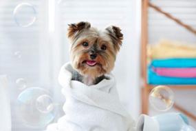img 1 attached to Побалуйте свою собаку органическим ароматерапевтическим шампунем и кондиционером для собак Pawtitas с натуральными травами, эфирными маслами, овсянкой, ванилью и миндалем