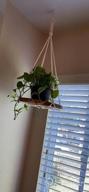img 1 attached to Beautiful BOHO Chic Macrame Plant Hangers Shelf - Indoor Decorative Pot Holder With Flower Cut Outs - TIMEYARD Bohemian Home Decor, In Box review by Michael Henderson