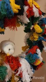 img 5 attached to Colorful And Fun Borangs Bird Toys For African Grey Cockatoos, Conure Parakeet Quaker, And More: Parrot Shredding Toys, Hanging Swings, Snuggle Rings And Cotton Grooming Ropes - 12 Inch Size