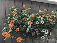 img 1 attached to Add Charm To Your Outdoor Area With Gardman R945 Forge Hanging Basket And Coco Liner | 12" X 7" Dimensions review by Steve Beaumont