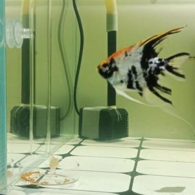 img 1 attached to Ailinda Aquarium Feeding Acrylic Suction Fish & Aquatic Pets