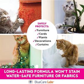 img 1 attached to 🐱 Cat Spray Deterrent Anti Scratch Furniture Protector - Cat Repellent and Bitter Anti Chew Spray | Non Toxic Indoor/Outdoor Use | Establish Boundaries and Keep Cat Off | Made in USA