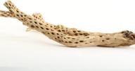 🌿 koyal wholesale cholla wood: aquarium branches, airplants decor, reptile perch – natural home decoration & chew toy logo