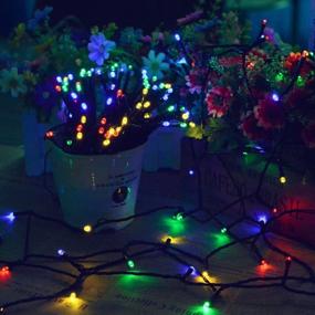 img 3 attached to Multi-Color Solar Christmas Lights 2 Pack 72Ft 200 LED Outdoor String Lights Waterproof For Indoor Gardens Xmas Trees Homes Weddings Parties Decor