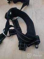 img 1 attached to Say Goodbye To Pulling With GoodBoy Dog Head Halter - Safety Strap And Padded Headcollar For All Dog Sizes (Size 2, Black) review by David West