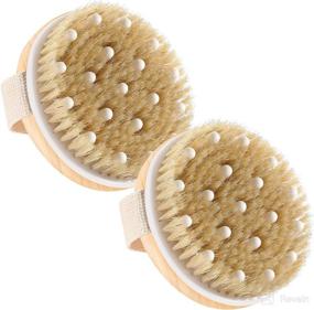 img 4 attached to Revitalizing Cellulite Lymphatic Brush: Effective Exfoliating Scrubber