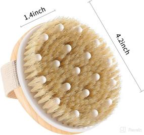 img 2 attached to Revitalizing Cellulite Lymphatic Brush: Effective Exfoliating Scrubber