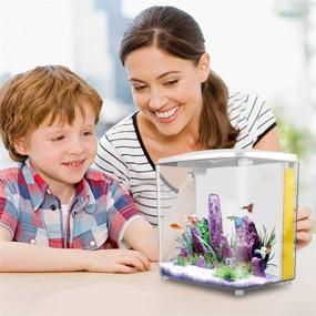 img 1 attached to Enhanced Betta Aquarium Starter Kit: 1.2 Gallon Square Fish Tank with LED Light and Filter Pump +