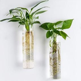 img 1 attached to Large Cylinder Kingbuy Glass Plant Propagation Station Wall Hanging Planter For Home Decor - 2 Pack