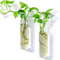large cylinder kingbuy glass plant propagation station wall hanging planter for home decor - 2 pack logo