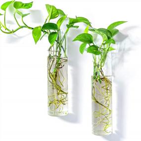 img 4 attached to Large Cylinder Kingbuy Glass Plant Propagation Station Wall Hanging Planter For Home Decor - 2 Pack