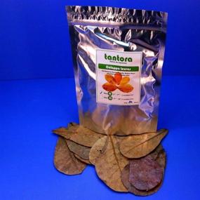 img 1 attached to 🌿 Premium Grade Indian Almond Leaf KETAPANG - 50pcs 4"-7" Tantora Catappa Leaves for Shrimp and Fish