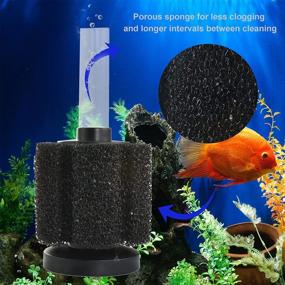 img 1 attached to 🐠 Optimized Aquarium Sponge Filter - Medium - Low Maintenance for Extended Cleaning Intervals - Ideal for Tanks Above 5 Gallons - Fish Tank Sponge Filter - Similar to ATI Pro or Aquarium Co-Op Filter