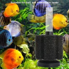 img 2 attached to 🐠 Optimized Aquarium Sponge Filter - Medium - Low Maintenance for Extended Cleaning Intervals - Ideal for Tanks Above 5 Gallons - Fish Tank Sponge Filter - Similar to ATI Pro or Aquarium Co-Op Filter