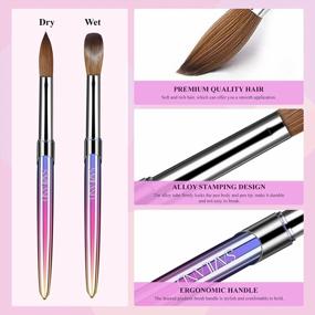 img 3 attached to Upgrade Your Nail Game With Saviland'S 4-Piece Kolinsky Acrylic Brush Set For Professional Results At Home And In Salons