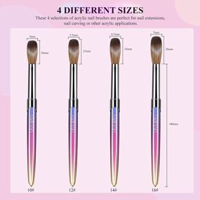 img 2 attached to Upgrade Your Nail Game With Saviland'S 4-Piece Kolinsky Acrylic Brush Set For Professional Results At Home And In Salons