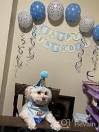 img 1 attached to Make Your Dog'S Birthday Special With GAGILAND Birthday Party Set - Dog Bandana, Hat, Banner & More In Pink With Balloon! review by Jim Velasco