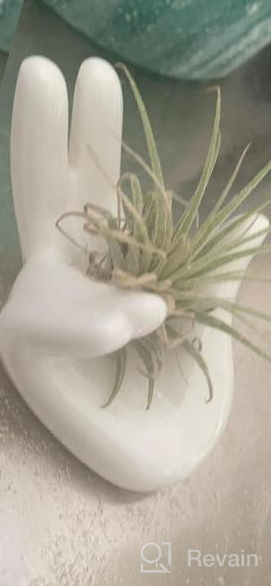 img 1 attached to White Ceramic Mini Hand-Shaped Air Plant Holder Stand For Tillandsia Container Pots Home Decor - 3 Pack review by Renee Foreman