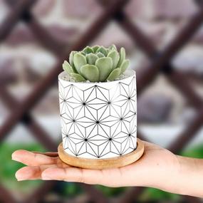 img 2 attached to Set Of 6 ZOUTOG 3-Inch Geometric Ceramic Succulent Planters With Bamboo Tray And Drainage Holes For Mini Flowers - Plants Excluded