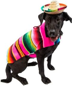 img 4 attached to Baja Blanket Factory Mexican Hallowen Dogs ~ Apparel & Accessories