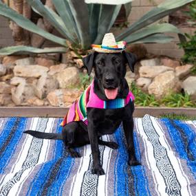 img 1 attached to Baja Blanket Factory Mexican Hallowen Dogs ~ Apparel & Accessories