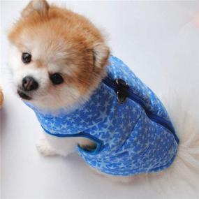 img 1 attached to 🧥 Winter Essential: Windproof Waterproof Dog Coat with Zipper – A Cozy Cold Weather Costume for Small to Medium Dogs (XS, Blue)