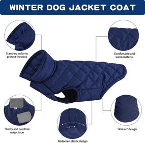 img 2 attached to 🧥 Navy Blue Dog Vest Winter Coat: Warm and Windproof Clothes for Small Dogs, Lightweight Pet Jacket for Cold Weather, Perfect for Indoor and Outdoor Use