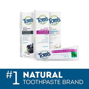 img 1 attached to 🦷 Toms Maine Toothpaste: Efficient Antiplaque Cinnamint formula for Superior Oral Care
