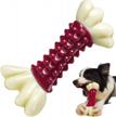 bacon-flavored indestructible chew bone toy for large and medium breeds - rmolitty's best dog toys for aggressive chewers logo