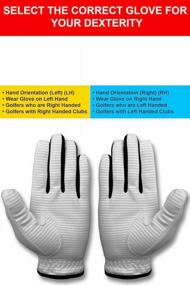 img 3 attached to Дышащие и прочные мужские перчатки для гольфа: CaddyDaddy Claw Pro