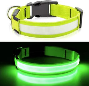 img 3 attached to BSEEN Light Up Dog Collar - Water-Resistant Reflective LED 🐶 Lighted Puppy Collars: Stay Visible and Safe on Night Dog Walks!