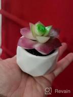 img 1 attached to Bring Home The Beauty Of Lvydec'S Mini-Sized Artificial Succulent Plants In Porcelain Pots - Perfect For Home, Bath, Or Office Decor! review by Charles Parente