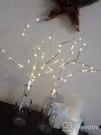 img 1 attached to 70 LED Battery Operated Twig Branches - Fairy Lights For Home Winter Christmas Decorations Indoor/Outdoor Use review by Katie Owens