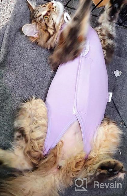 img 1 attached to 🐱 Surgical Abdominal Wound Recovery Suit for Cats - Indoor Pet Clothing & E-Collar Alternative Pajama Suit After Surgery review by David Miller