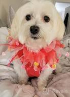 img 1 attached to Add Some Love To Your Pup'S Style: Midlee Small Valentine'S Heart Decorative Dog Collar review by Maya Rico