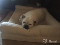 картинка 1 прикреплена к отзыву Furhaven Medium Orthopedic Dog Bed Comfy Couch Plush & Decor Sofa-Style W/ Removable Washable Cover - Diamond Gray, Medium от Jay Sterns