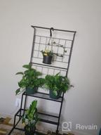 img 1 attached to 3-Tier Metal Hanging Plant Stand Planter Shelves Flower Pot Organizer Rack Display Holder Shelf Indoor Outdoor Heavy Duty Planter Shelving Unit With Grid Panel review by Mardrequs Dorsey