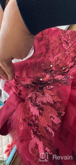 img 1 attached to Weileenice Princess Christmas Dress: Lace Flower Girl Wedding Prom Pageant Birthday Party Tutu Tulle Dresses review by Mike Kimball