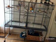 картинка 1 прикреплена к отзыву Spacious Wrought Iron Double Breeding Bird Cage With Slide-Out Divider, 3 Levels Of Abode For Parrots, Cockatiels, And Conures, 63" L X 19" D X 64" H With Rolling Stand от Esera Warren