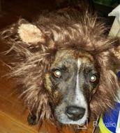 img 1 attached to Unleash Your Pet'S Wild Side With Onmygogo Lion Mane Wig With Ears In Size L, Perfect For Halloween And Christmas review by Frank Alejo