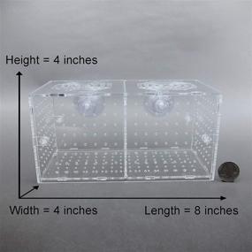 img 3 attached to 🐠 Alfie Pet - Rickie Hang-on Nursery Fish Tank: Effective Isolation Breeding Hatchery