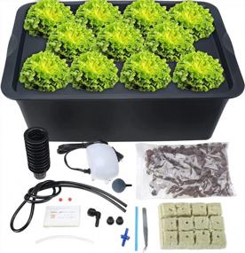 img 4 attached to HighFree Hydroponics Growing System For Plants Herb Garden Starter Set DIY Self Watering Indoor Hydroponics Tools With Large Bubble Stone Rockwool Bucket Air Pump (11 Sites)