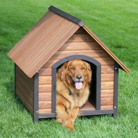 img 2 attached to 🏡 Premium Precision Pet Outback Country Lodge Medium: Ideal Shelter for Your Pet's Comfort