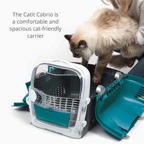img 3 attached to Catit 41371 Cabrio Carrier Turquoise