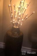 img 1 attached to Light Up Your Home With Primitives By Kathy 16362 Willow Branch Decor review by Monica West