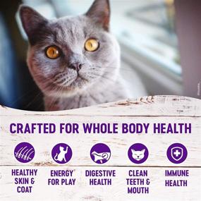 img 2 attached to 🐱 Premium Grain-Free Dry Cat Food: Wellness Complete Health, Made in USA, Natural, with Added Nutrients, No Fillers, By-Products, or Artificial Ingredients