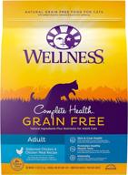🐱 premium grain-free dry cat food: wellness complete health, made in usa, natural, with added nutrients, no fillers, by-products, or artificial ingredients logo