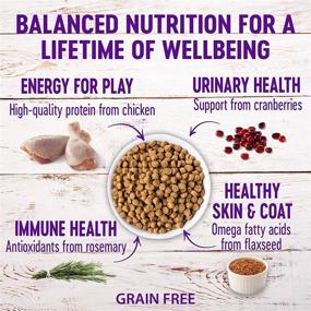 img 3 attached to 🐱 Premium Grain-Free Dry Cat Food: Wellness Complete Health, Made in USA, Natural, with Added Nutrients, No Fillers, By-Products, or Artificial Ingredients