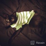 img 1 attached to High Stretch And Soft Striped Kitty Sweater For Cats And Small Dogs - Evursua Knitwear For Male And Female Pets (S, Blue) - Keeping Them Warm And Fashionable review by Aaron Gordon